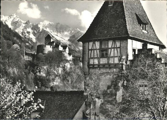 71388517 Liechtenstein  Schloss Vaduz mit Rappenstein und Falknis