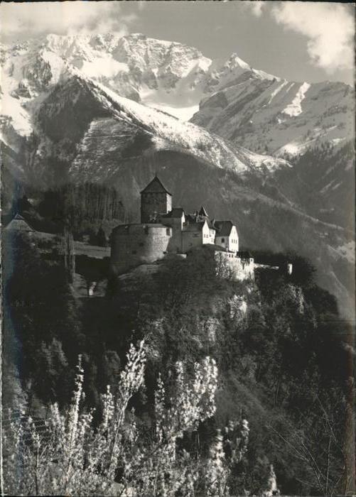 71388560 Liechtenstein  Schloss Vaduz