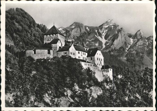 71388567 Liechtenstein  Schloss Vaduz