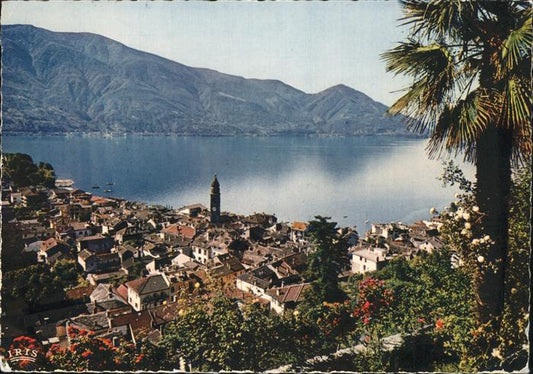 11438771 Ascona TI Panorama mit Lago Maggiore