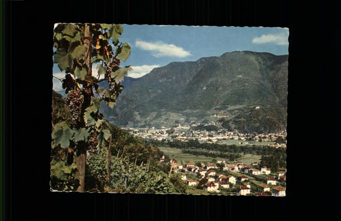 11434708 Bellinzona Blick von den Weinbergen