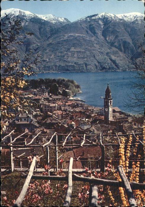 11435159 Ascona TI Ortsansicht mit Kirche Lago Maggiore Alpenblick Fruehling