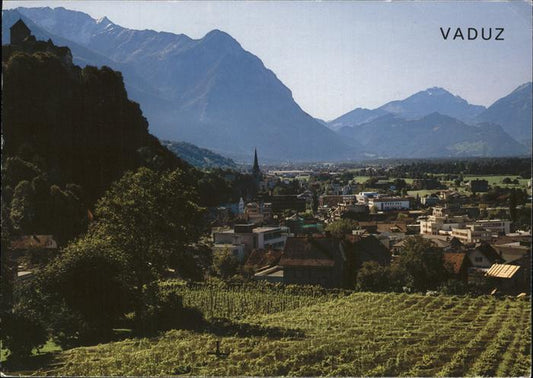 71445192 Vaduz Blick gegen Sueden Falknis Mittagspitze Calanda