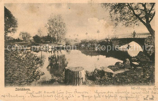 13301893 Zuerichhorn ZH Partie am Zuerichsee Bruecke Zuerichhorn ZH