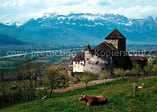 73592607 Vaduz Schloss Rheintal Kreuzberge