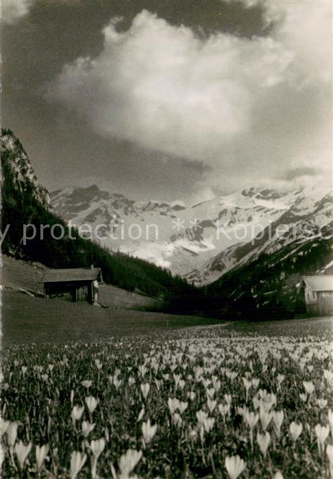 73712491 Steg Liechtenstein Alpenpark Steg im Saminatal mit Naafkopf Blumenwiese