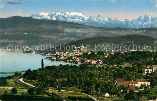 13724100 Waedenswil Waedensweil ZH Panorama Lac Zurich Alpes