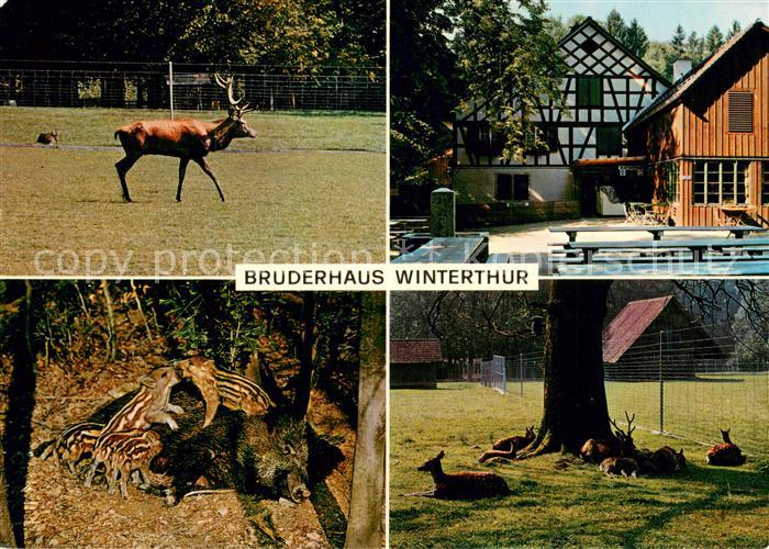 13735445 Winterthur  ZH Ausflugs Restaurant und Tierpark Bruderhaus