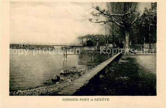 13737929 Geneve GE Corsier Port