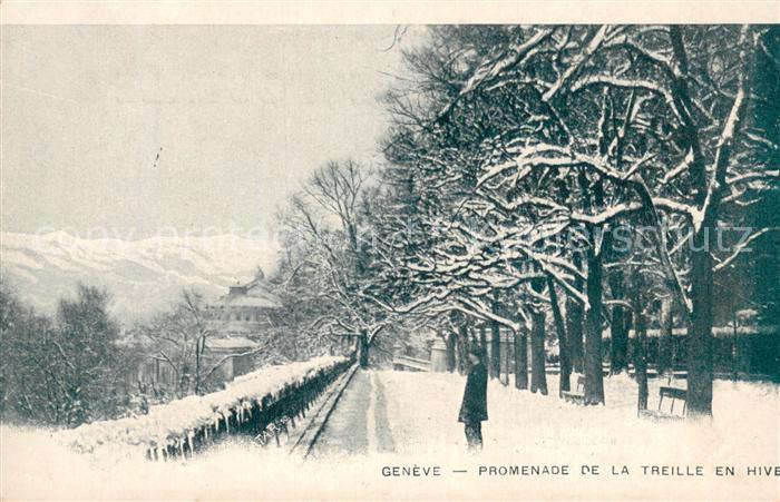 13737953 Geneve GE Promenade de la treille en hiver