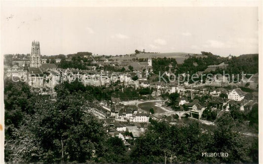 13738371 Fribourg FR Panorama