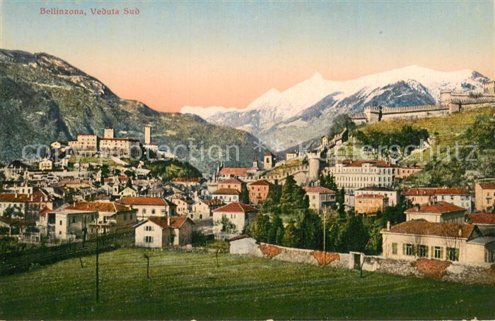 13738402 Bellinzona Veduta Sud