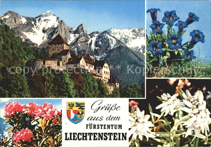 72346596 Liechtenstein  mit Schloss