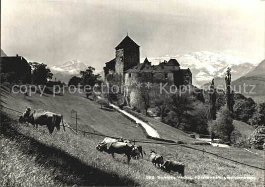 72405028 Vaduz Schloss Viehweide Kuehe Alpenpanorama