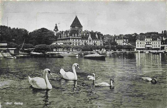 13979062 Ouchy_LAUSANNE_VD Vue du lac Léman depuis Schwaene