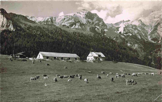 13979069 Kunkelspass_1357m_GR Bergbauern Almvieh Alpen