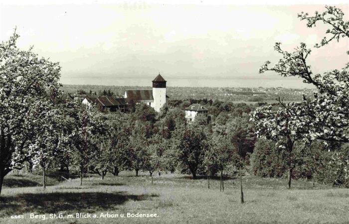 13979083 Berg_SG Vue panoramique sur Arbon et le lac de Constance Baumbluete