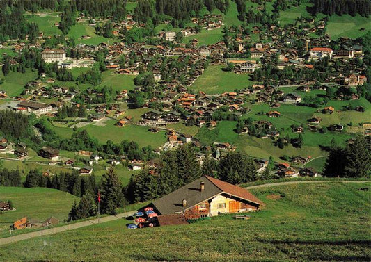 13979466 Adelboden_BE Panorama Blick von der Holiebe