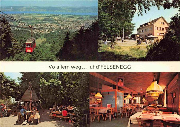 13979544 Adliswil_ZH Panorama Bergbahn Bergrestaurant Felsenegg Holzkohlengrill