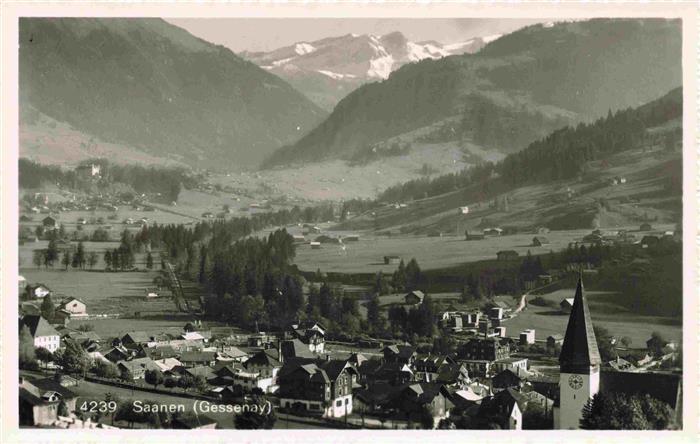 13979320 Saanen_BE Panorama