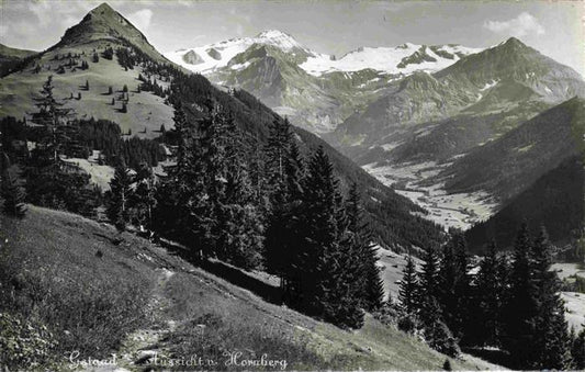 13979325 Gstaad_Saanen_BE Vue depuis Hornberg