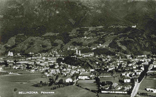 13979341 BELLINZONA_TI Panorama