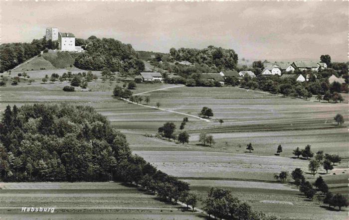 13979358 Habsburg_Schloss_AG Panorama