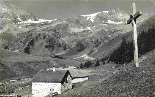 13979675 Alp_Sardona_SG Croix sommitale panoramique