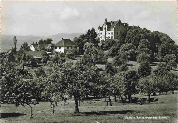 13980874 Stettfurt_TG Château de Sonnenberg