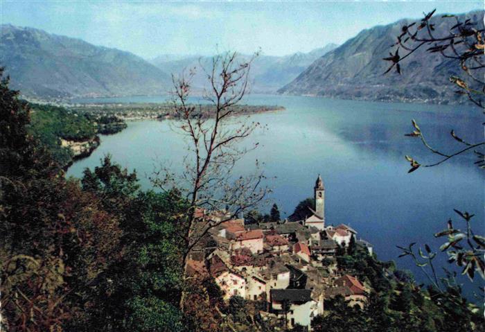 13981180 Ronco_Ascona_Locarno_Lago_Maggiore_TI Panorama