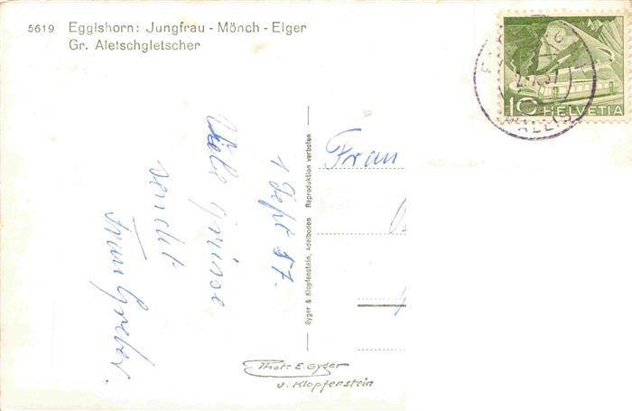 13981881 Eggishorn_2927m_VS Jungfrau Moench Eiger Grosser Aletschgletscher Chamois