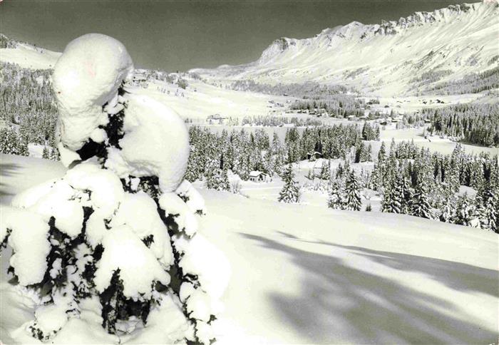 13983182 Valbella__Lenzerheide_GR Domaine skiable alpin dans la magie hivernale