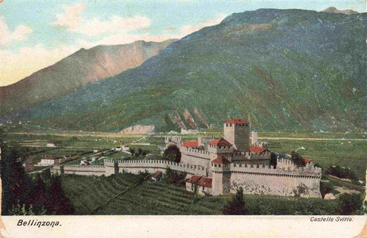 13983243 BELLINZONA_TI Château Svitto