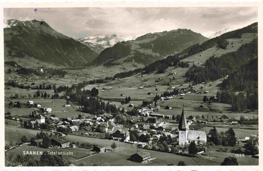 13983265 Saanen_BE Panorama