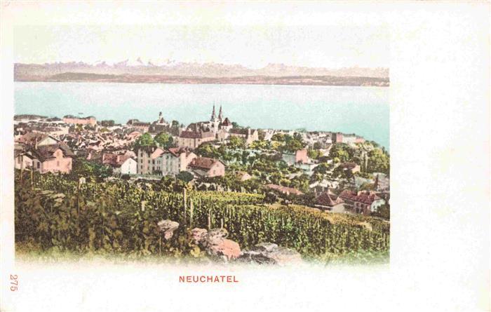 13983446 Neuchâtel_NE Panorama