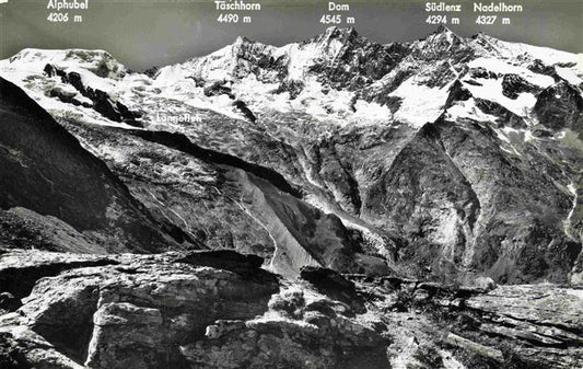 13983452 Saas-Fee_VS avec Langefluhund Feegletscher Alphubel Taeschhorn Dom