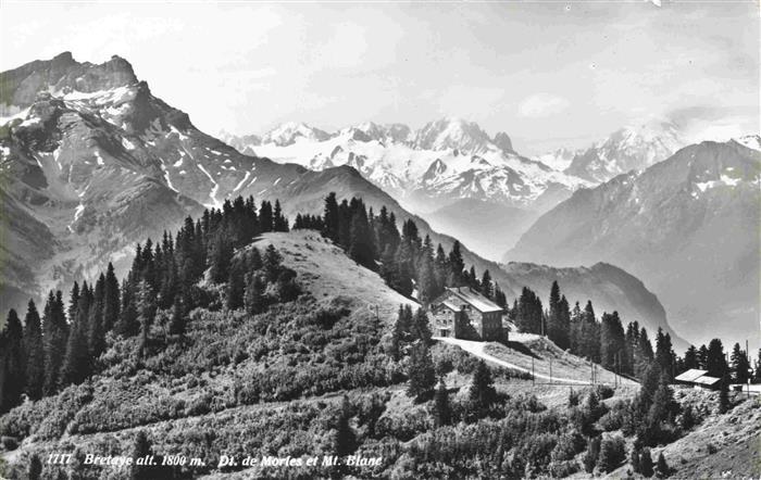 13983514 Bretaye_1800m_VD Dent de Morales et Mont Blanc