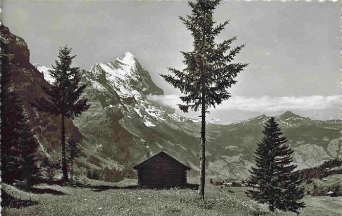 13983538 Grindelwald_BE Panorama