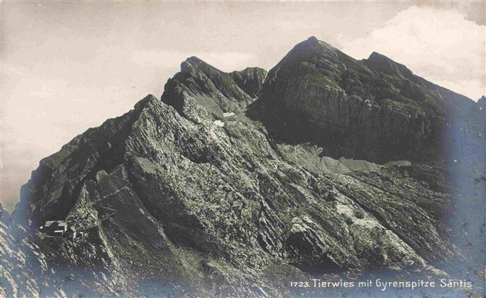 13983545 Tierwies_AR mit Gyrenspitze Sentas