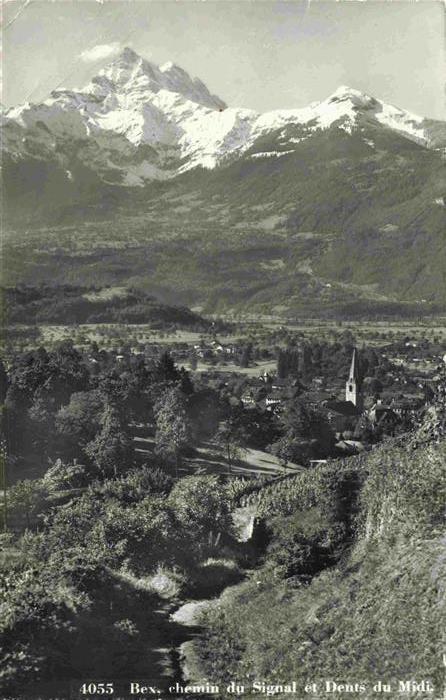 13983563 Bex-les-Bains_VD Chemin du Signal et Dents du Midi