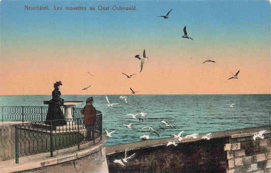 13983720 Neuchâtel_NE Les mouettes sur Quai Osterwald