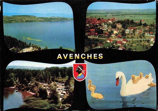 13984937 Avenches_VD Camping d'Avenches Panorama Vue aerienne