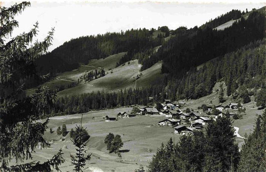 13985043 Grubenwald_Zweisimmen_Obersimmental_BE Panorama