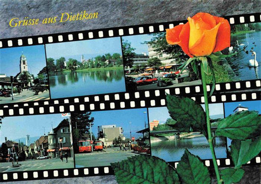 13986682 Dietikon_ZH Teilansichten Bilder auf Filmrolle Rose