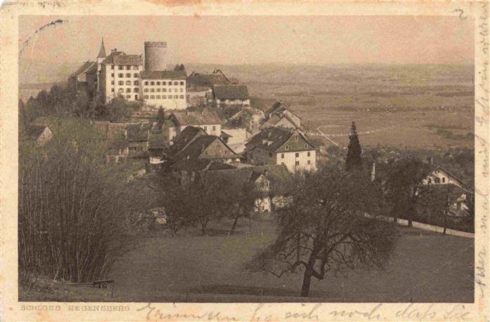 13986163 Regensberg_Dielsdorf_ZH Schloss Regensberg