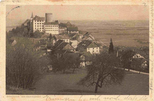 13986163 Regensberg_Dielsdorf_ZH Schloss Regensberg