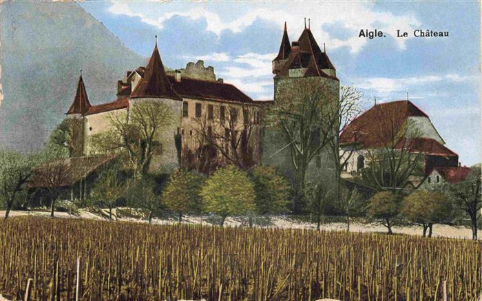 13987468 Aigle_VD Le Chateau