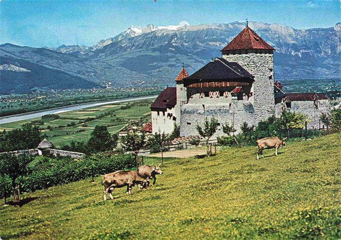 73990003 Vaduz Liechtenstein FL Schloss Castle Chateau Vaduz