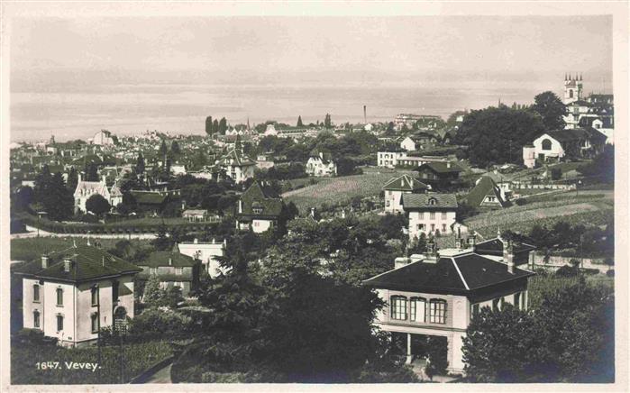 13990537 VEVEY_VD Panoramique