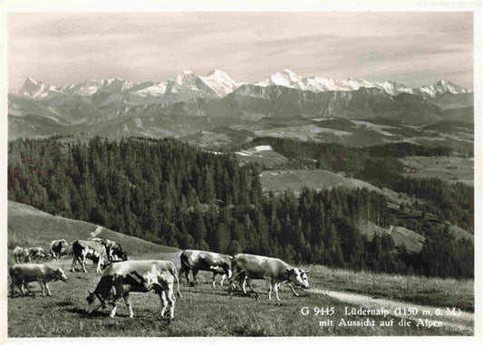 13990666 Luedernalp_Napf_BE mit Aussicht auf die Alpen